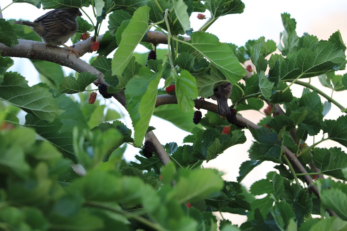 Sensasi Belanja yang Tak Terduga: Ketika Apple Watch SE Berduet dengan LEGO Star Wars dalam Satu Paket Deal Gila!