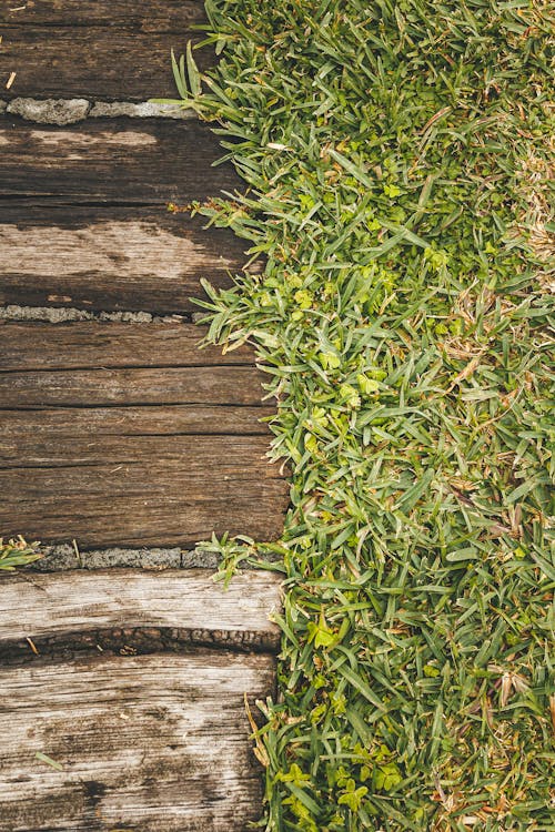 Harta Karun Tersembunyi: Revolusi Energi Daerah Melalui Hilirisasi dan Monetisasi EBT untuk Melesatkan Ekonomi