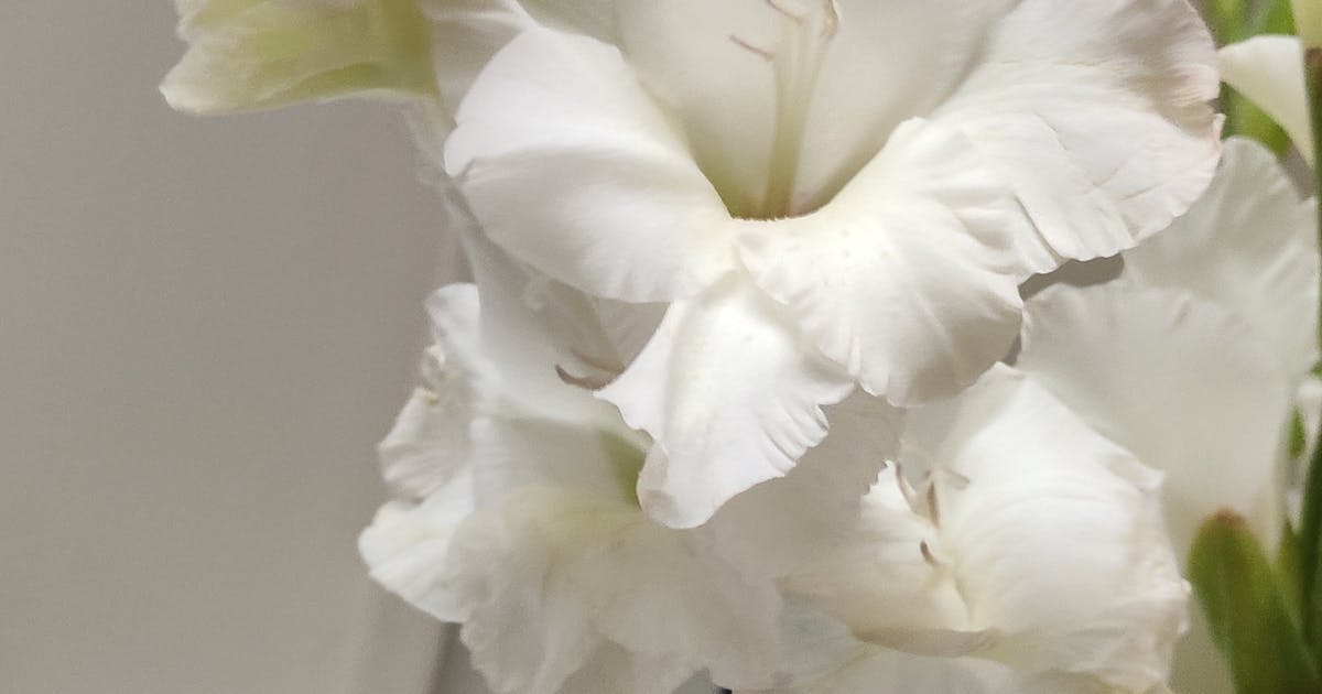 Stoke Space dan Obsesi Revolusionernya: Bagaimana Reusabilitas Roket Penuh Akan Mengubah Segala