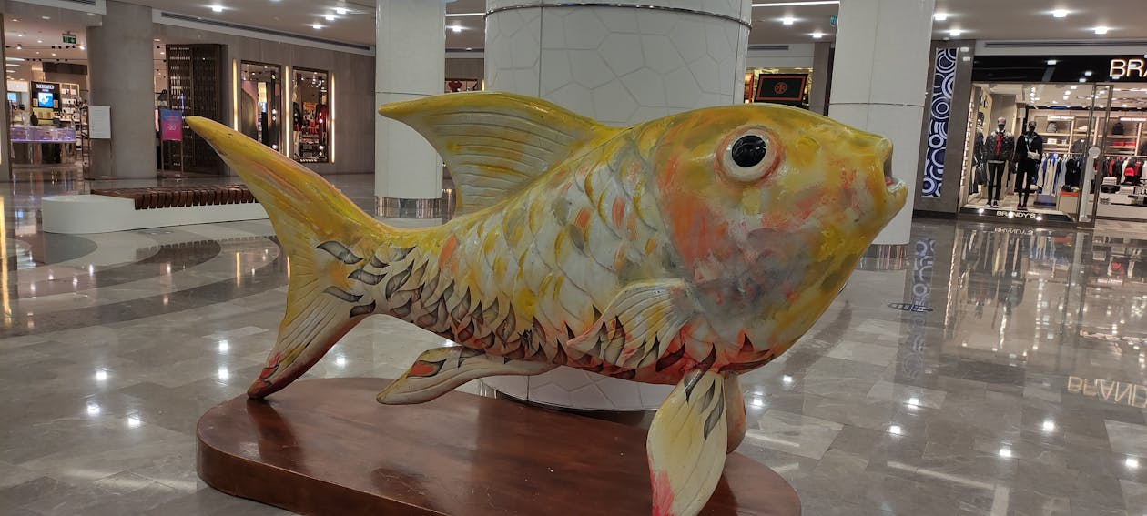 Janji Iklim yang Digantung: Mengapa Kegagalan Pendanaan Mengancam Masa Depan Bumi di COP30