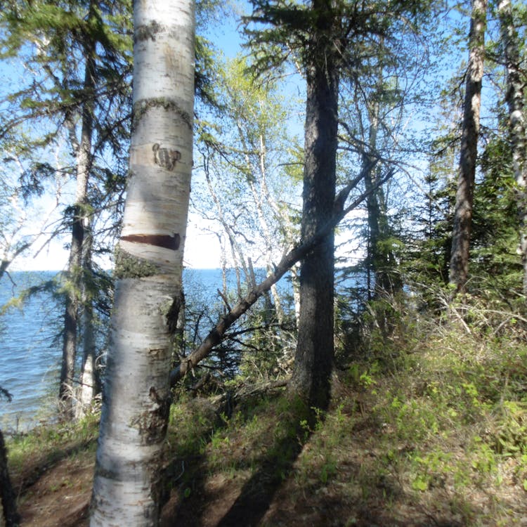 Sultra Melejit! Mengungkap Rahasia Pertumbuhan Ekonomi Tertinggi Keenam Nasional di Tengah Isu Global