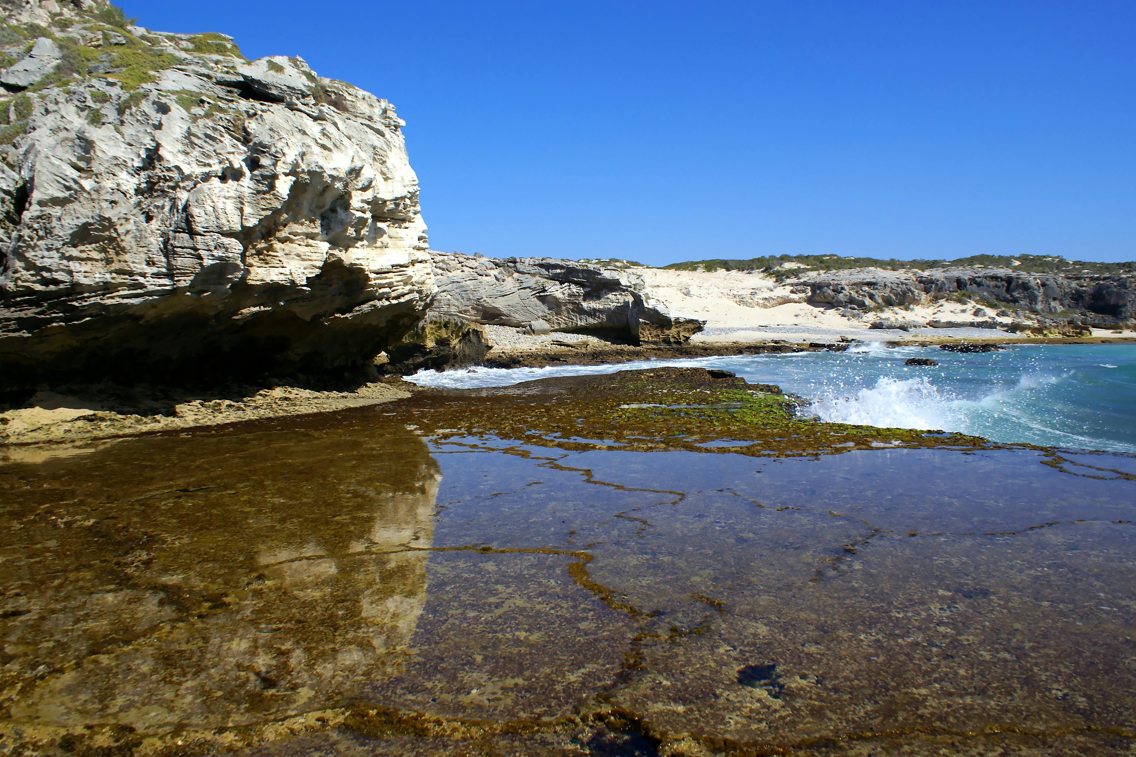 Kemensos Bergerak Cepat: Solidaritas Mengalir, Dapur Umum Siaga untuk Korban Banjir Jawa Tengah!