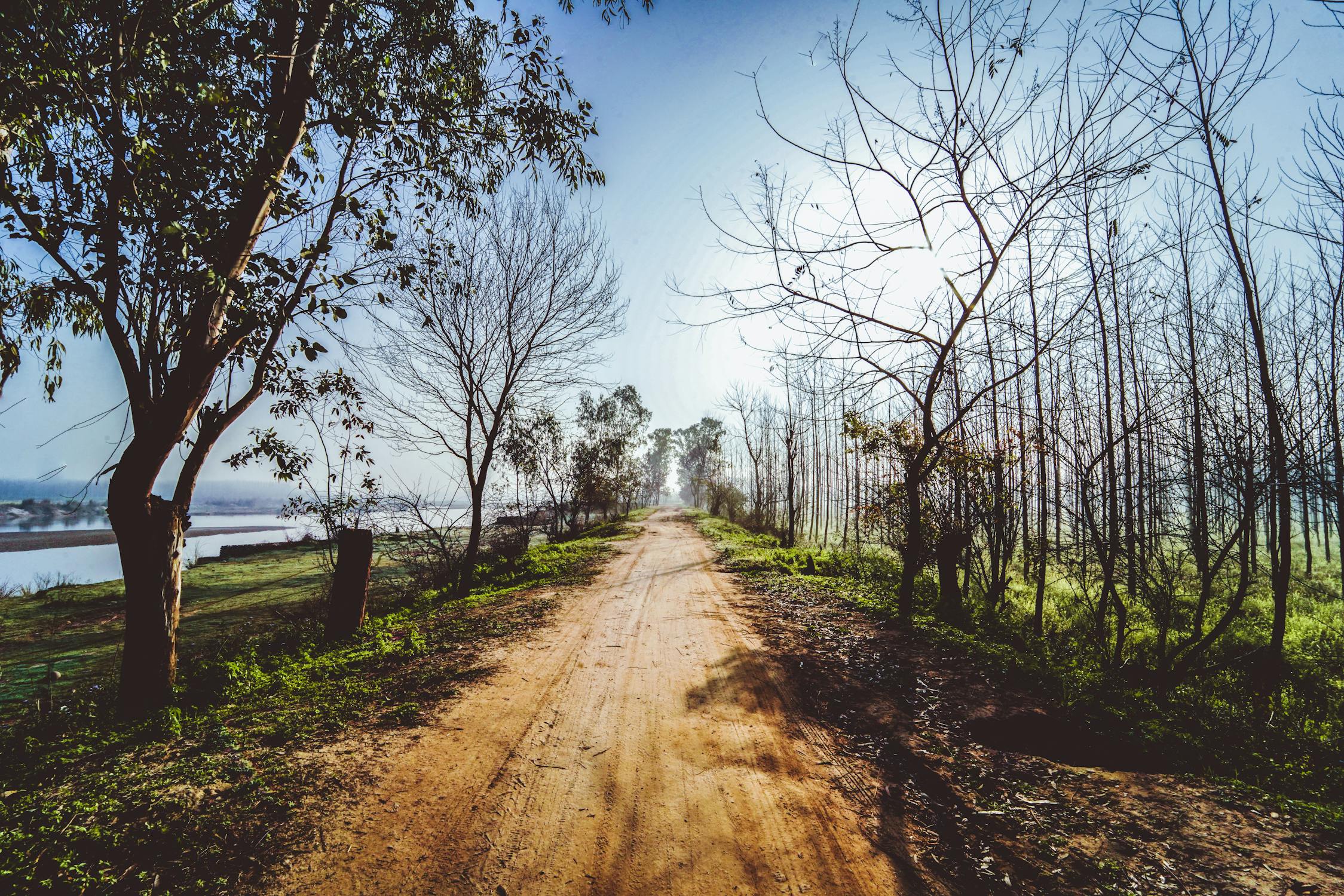 Google Maps Kini Tampil 'Live' di Polestar 4: Masa Depan Navigasi AR Telah Tiba!