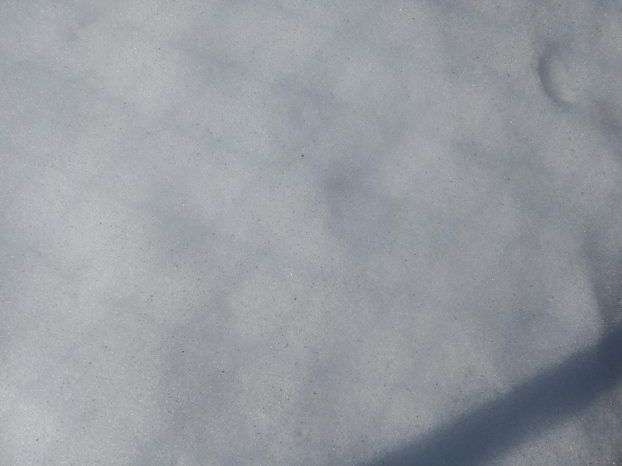 Ketika Etika DPR Diuji: Skandal Konflik Kepentingan Komisi III dan Pemilihan BPK yang Memanas