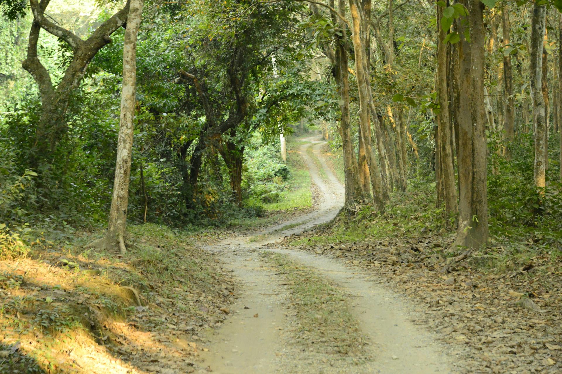 Penyitaan Rumah Melonjak 20%: Sinyal Bahaya Baru yang Mengancam Pasar Properti dan Ekonomi Global?