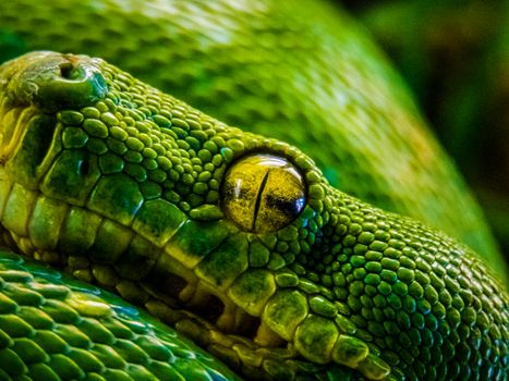 Efisiensi Maksimal: Bagaimana Pembaruan Alloc-Context 0.2.16 Membentuk Masa Depan Aplikasi Python