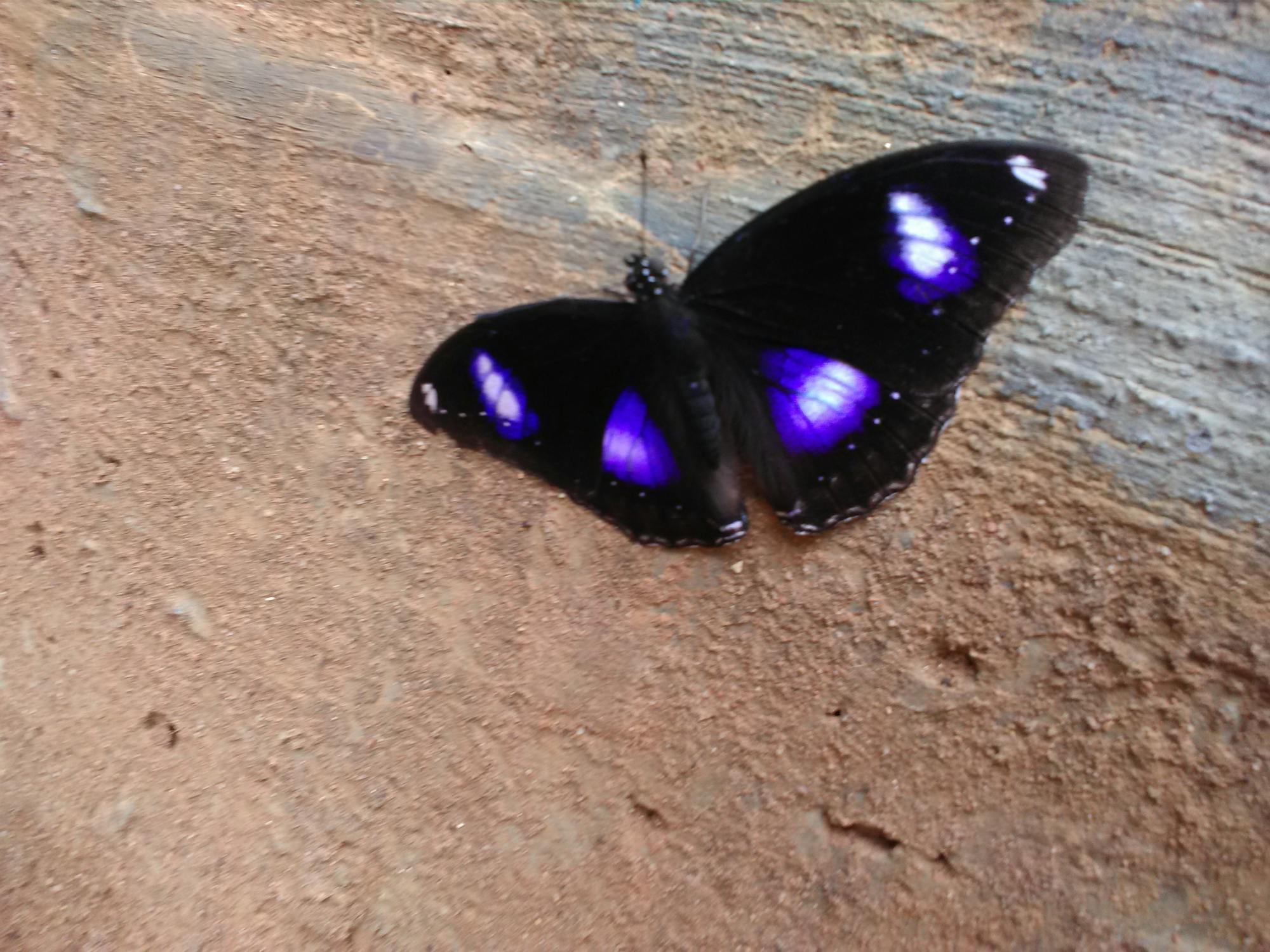 Jakarta Lawan Banjir: Modifikasi Cuaca, Solusi Revolusioner atau Janji Semu?