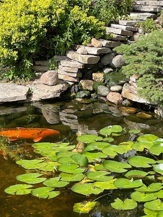 Siaga Penuh! DPRD Kota Bogor Desak Pemkot Sigap Hadapi Banjir & Pohon Tumbang Akibat Cuaca Ekstrem