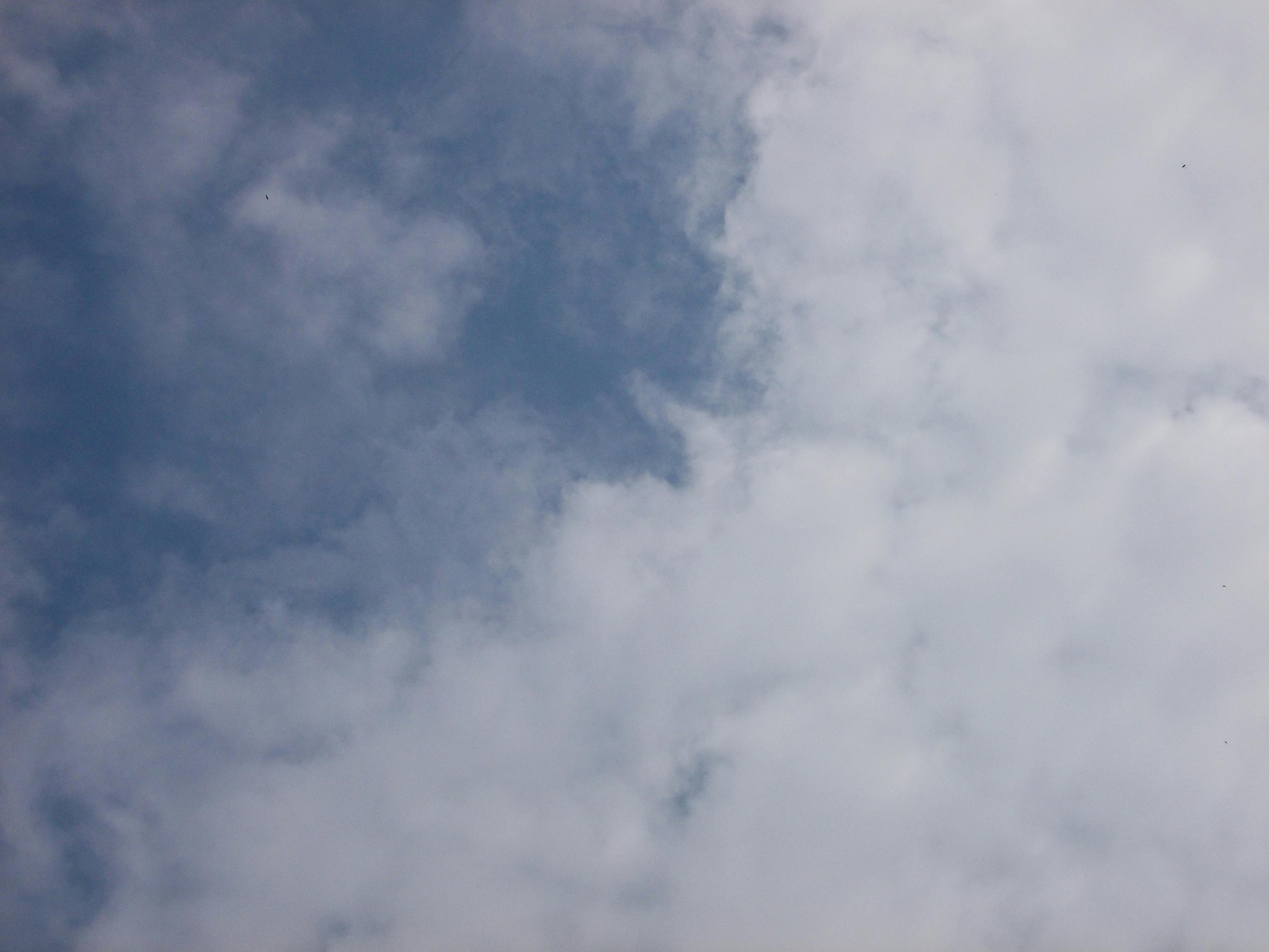 Revolusi Bea Cukai India: Bagaimana Rencana Reformasi Nirmala Sitharaman Akan Mengubah Lanskap Perdagangan?