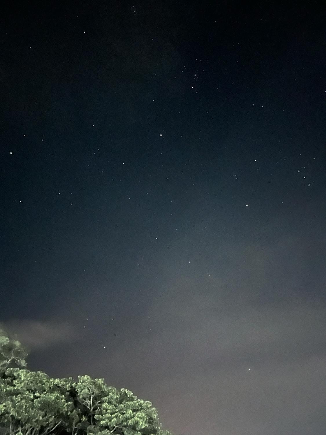 Nusakambangan: Dari Pulau Penjara Menuju Lumbung Ikan Berkelanjutan dan Destinasi Ekowisata Bahari!