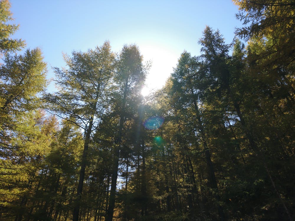 Selamat Tinggal Tombol Fisik? iPhone 20 Dikabarkan Bakal Hadir Tanpa Tombol Sama Sekali!