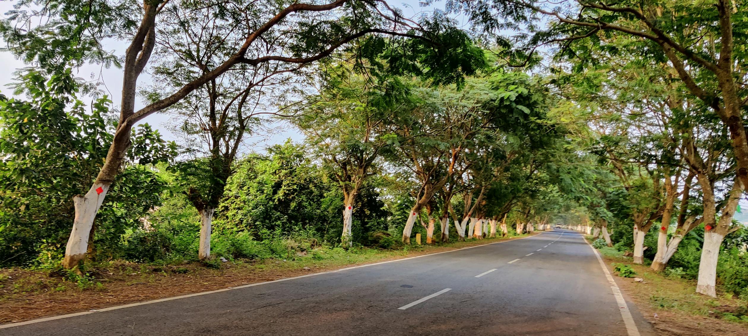 Waspada! YouTube Kids Banjir 'Video Sampah' (Slop): Ancaman Tersembunyi Bagi Perkembangan Anak Anda