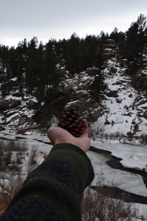 Tagihan Listrik Anda Mungkin Murah, Tapi Bumi Membayar Mahal: Mengungkap Biaya Tersembunyi Krisis Iklim