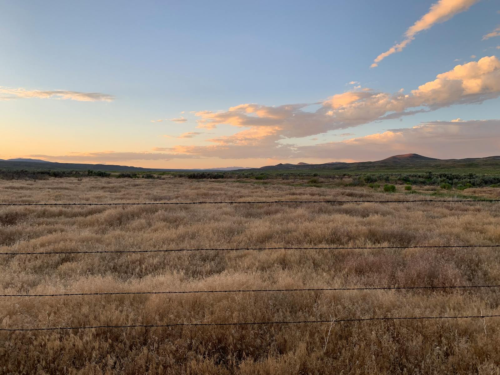 Sumut Kembali Bersinar: Kisah Heroik PLN Tuntaskan Pemulihan Listrik 100% Pasca Blackout Massal!