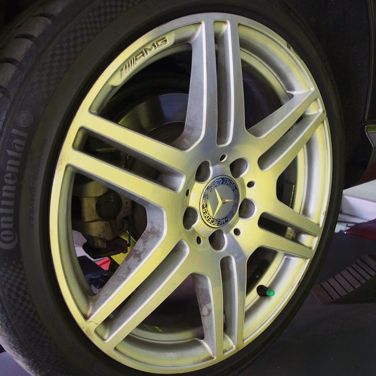 Gegar Jakarta! Pohon Tumbang Renggut Kerugian? DKI Siapkan Santunan Rp 50 Juta, Ini Faktanya!