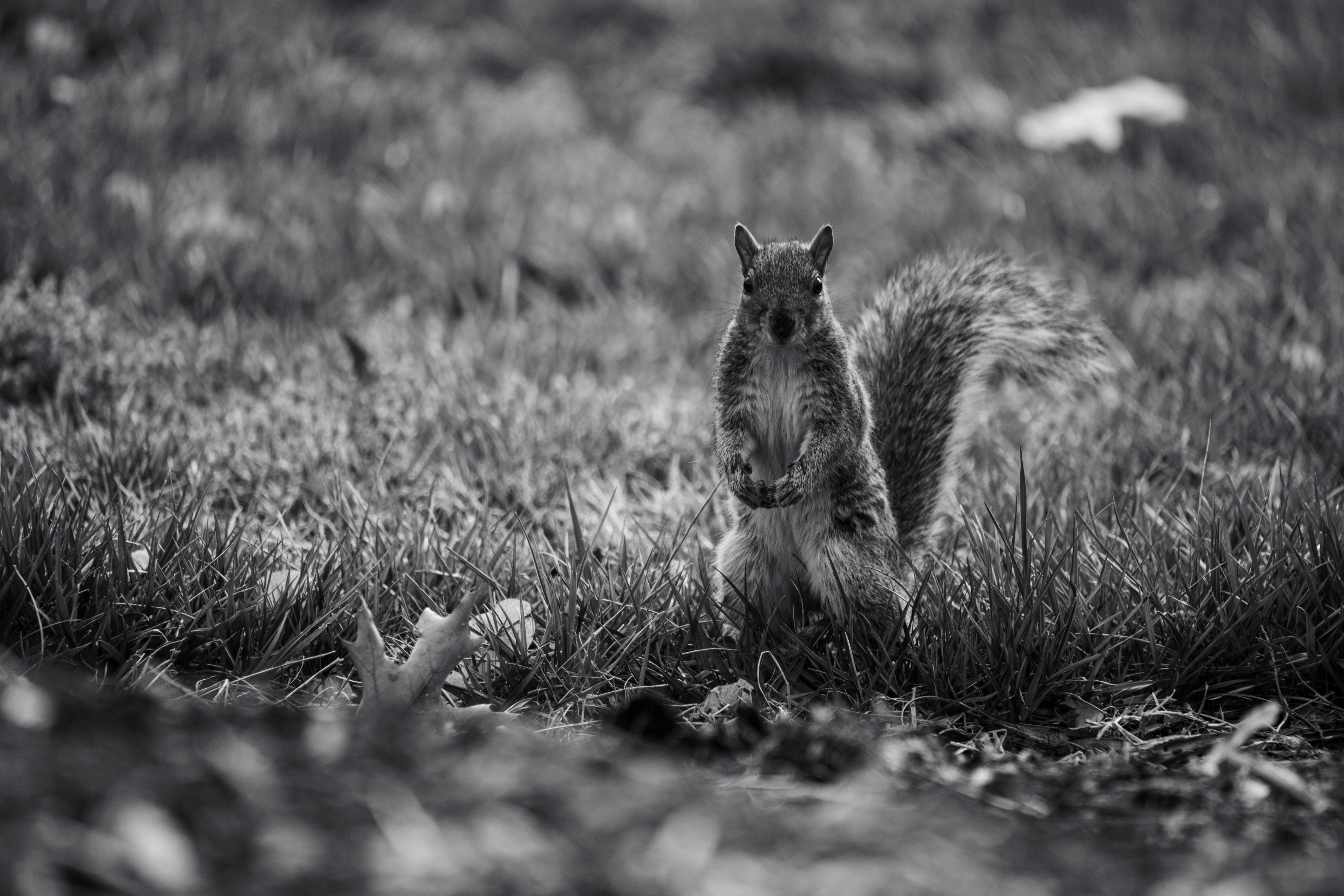 Jakarta Mendunia: Mengupas Strategi di Balik 8 Buku Tematik Pembentuk Identitas Kota Global