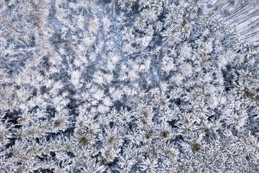 Cardano Hadapi Wall Street: Charles Hoskinson Berbicara di Kongres AS, Masa Depan Kripto di Ujung Tombak!