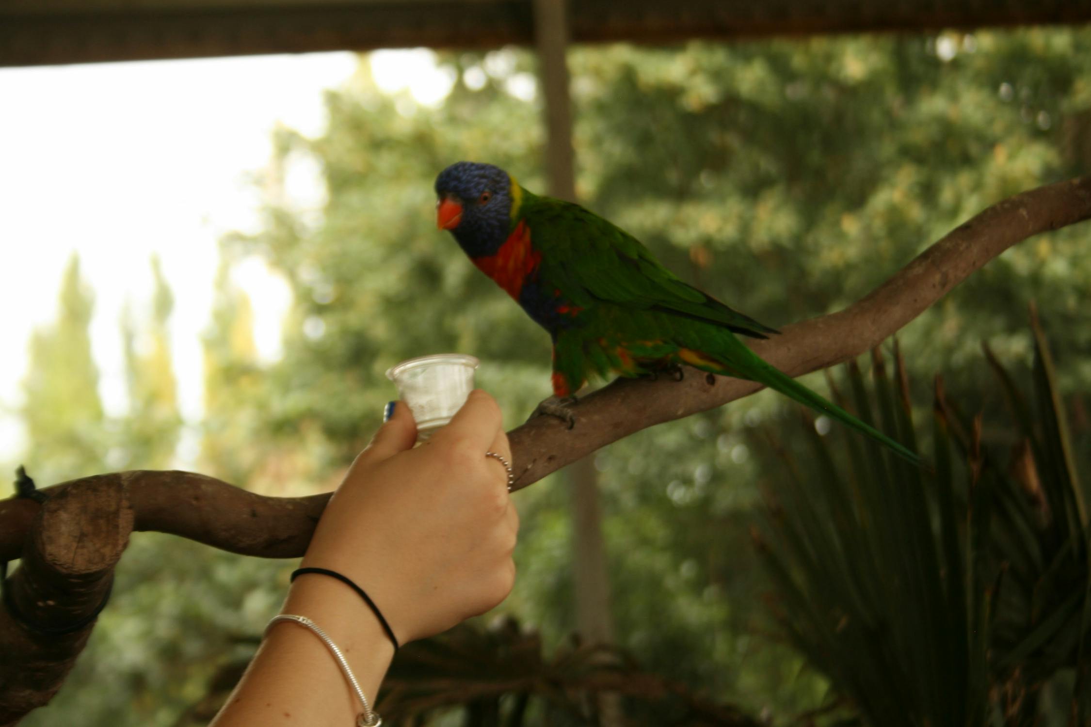 Bukan Cuma Bansos! Ini 5 'Jurus Sakti' Mensos Risma Wujudkan Kemandirian Ekonomi Lewat Sekolah Rakyat yang Wajib Kamu Tahu!