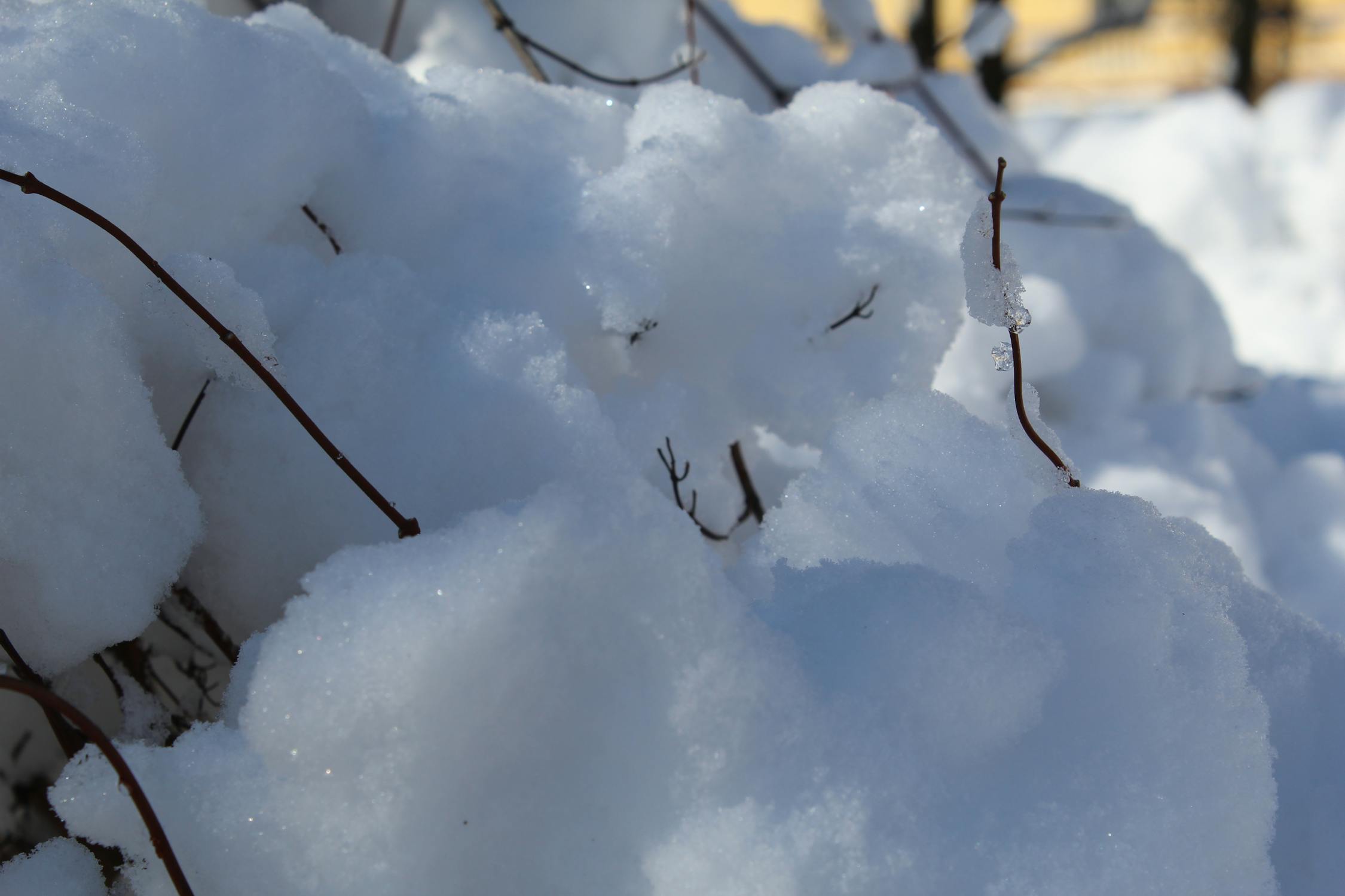 Guncangan Metagame! Larangan dan Pembatasan MTG November 2023 Mengubah Total Permainan!