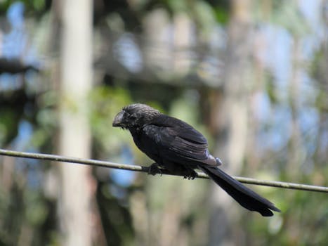 Revolusi Penyerahan Dokumen Hukum: Dampak Sistem Agen Terpadu Northwest Registered Agent