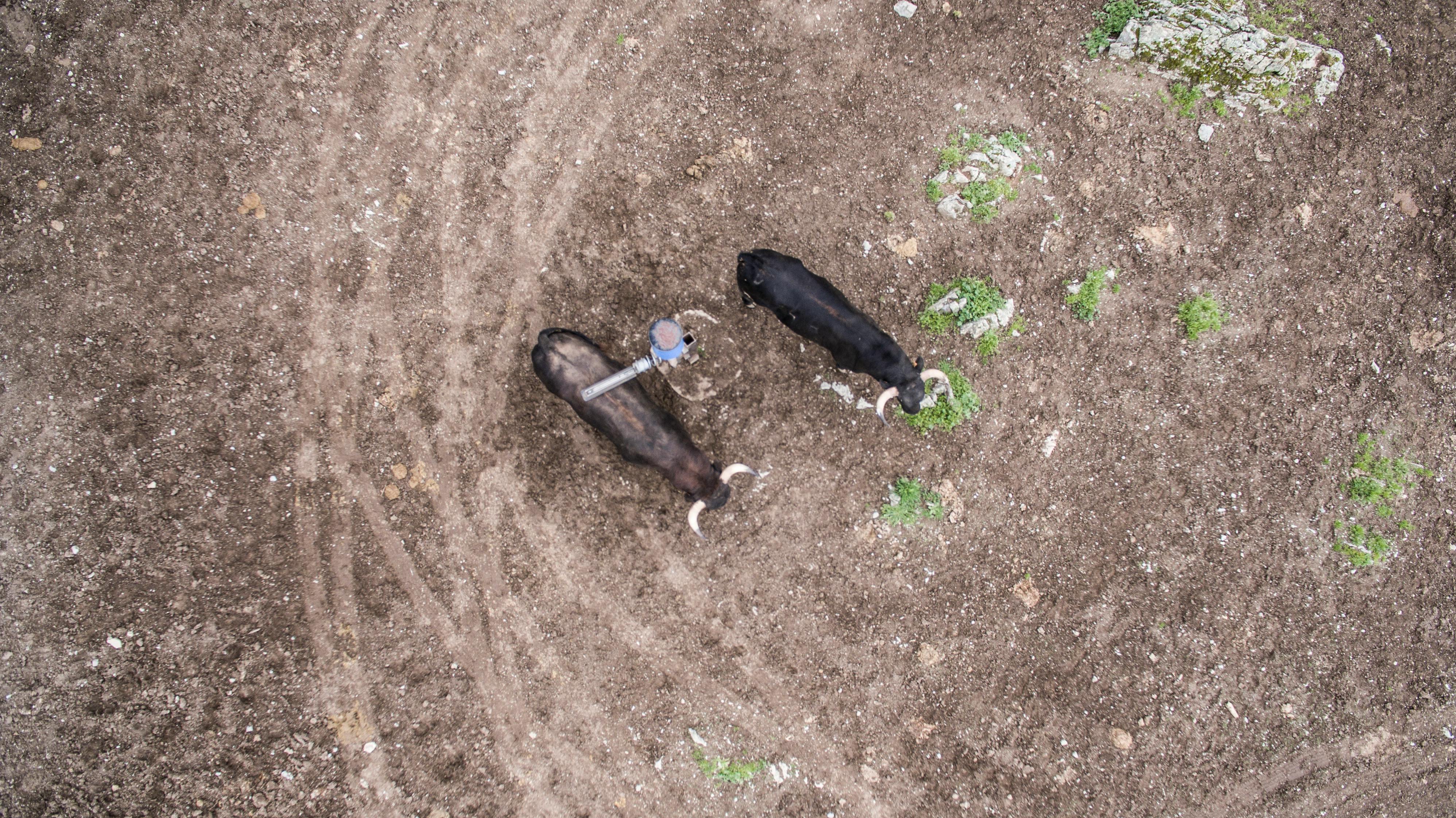 Geger! MUI Kecam Keras Aksi Peledakan di Masjid SMAN 72 Jakarta: Ancaman Terhadap Harmoni dan Keamanan Nasional