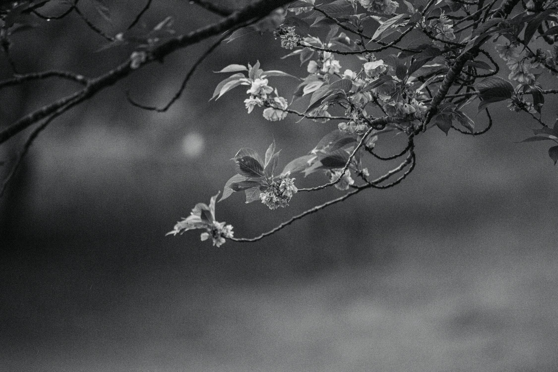 Octopath Traveler 0: Ulasan Perdana Bocor dari Masa Depan, Ungkap Prequel Menggila dengan Rating 9/10!