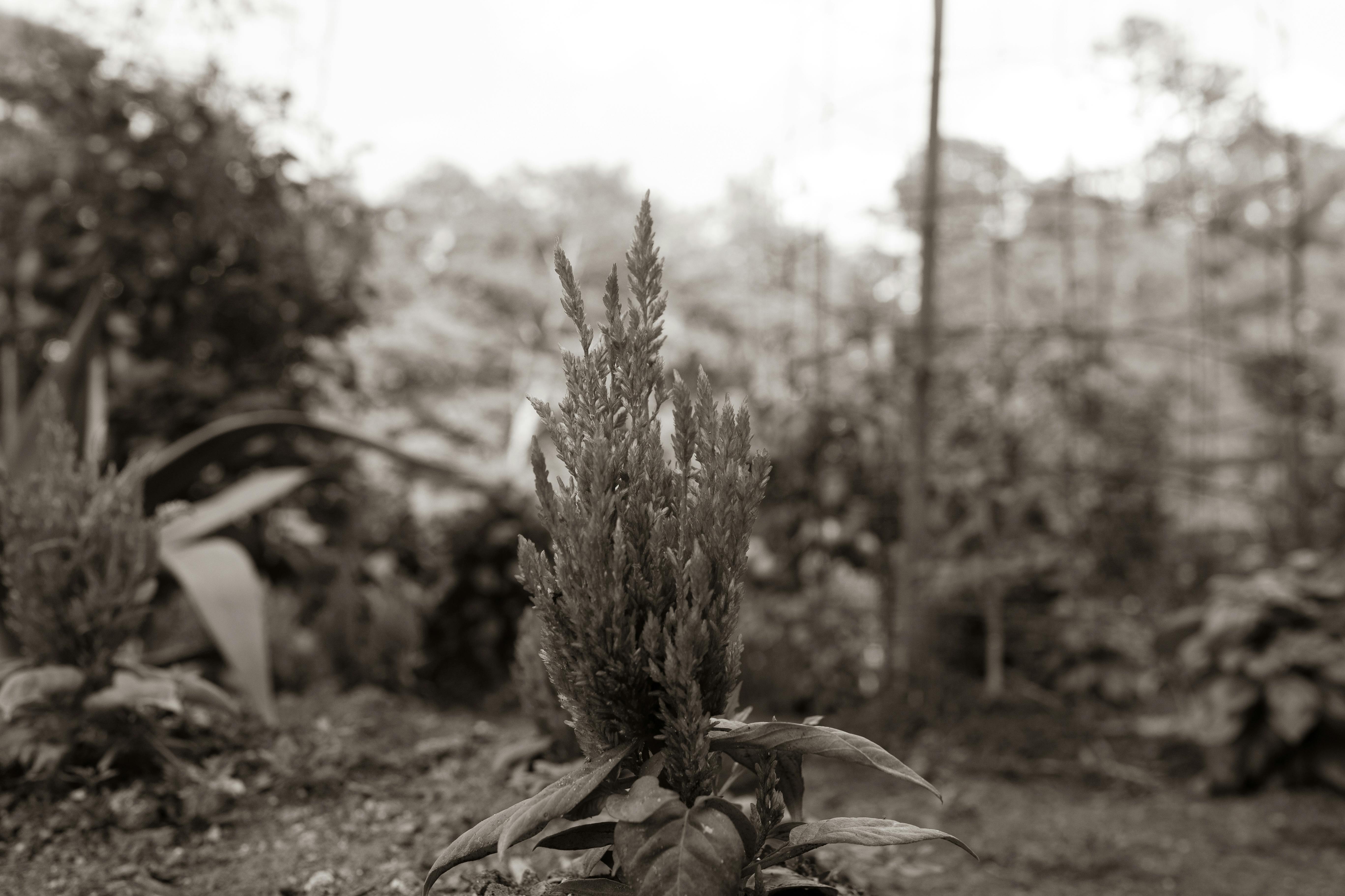 Kontroversi DJ D-Sol: Ketika Hobi CEO Goldman Sachs David Solomon Mengguncang Wall Street