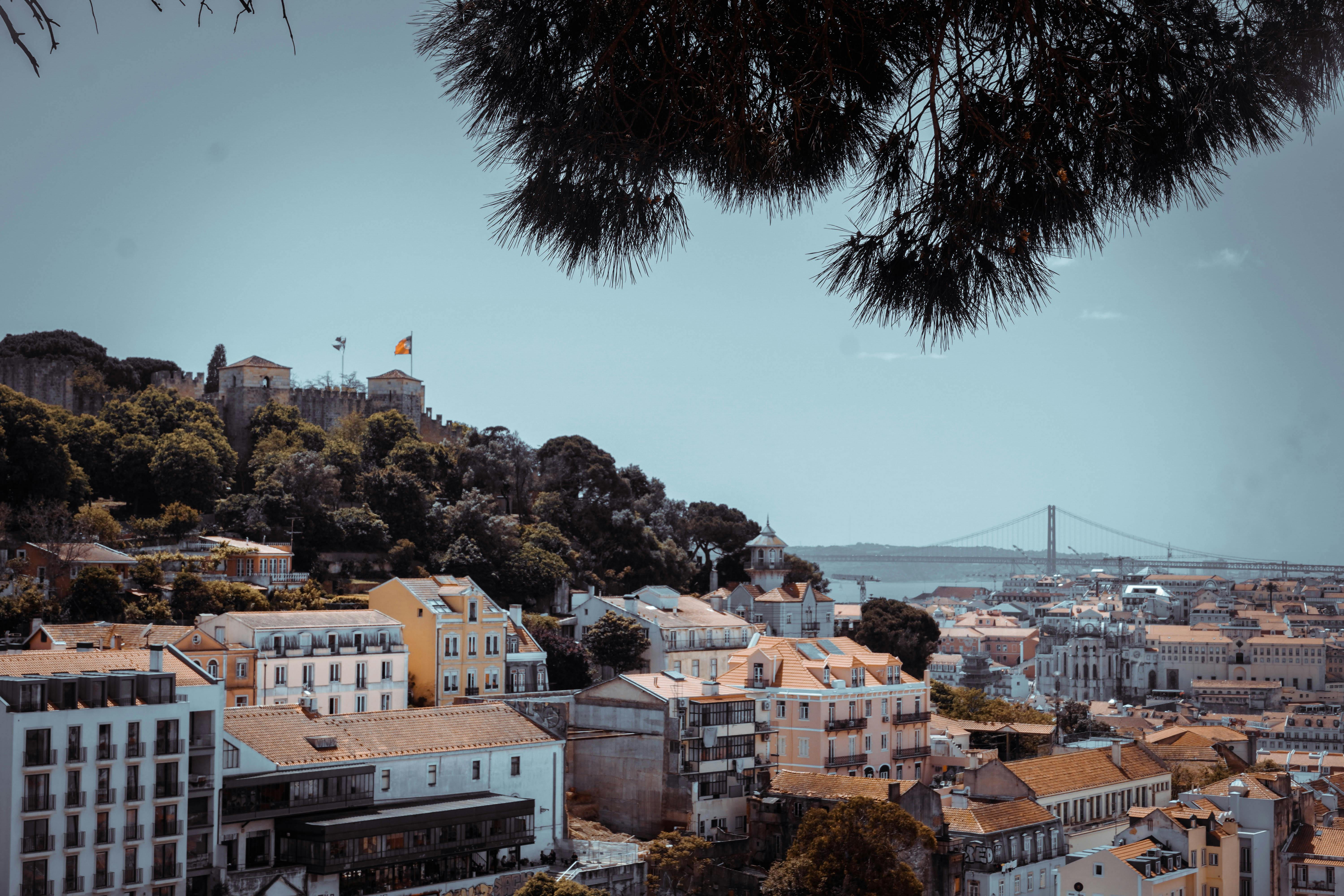 Kejutan Akhir Tahun 2025: Xbox Siap Bagi-bagi Kartu Hadiah Gratis! Siap-siap Jadi Jutawan Game!