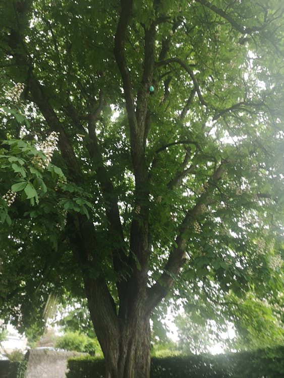 Terobosan di IKN: Masa Berlaku Hak Tanah Bakal Diperpanjang? Sinyal Kuat untuk Investor!