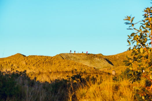 Mengukir Masa Depan Global: Tiga Bintang Yale Raih Beasiswa Schwarzman 2026-27 yang Bergengsi!