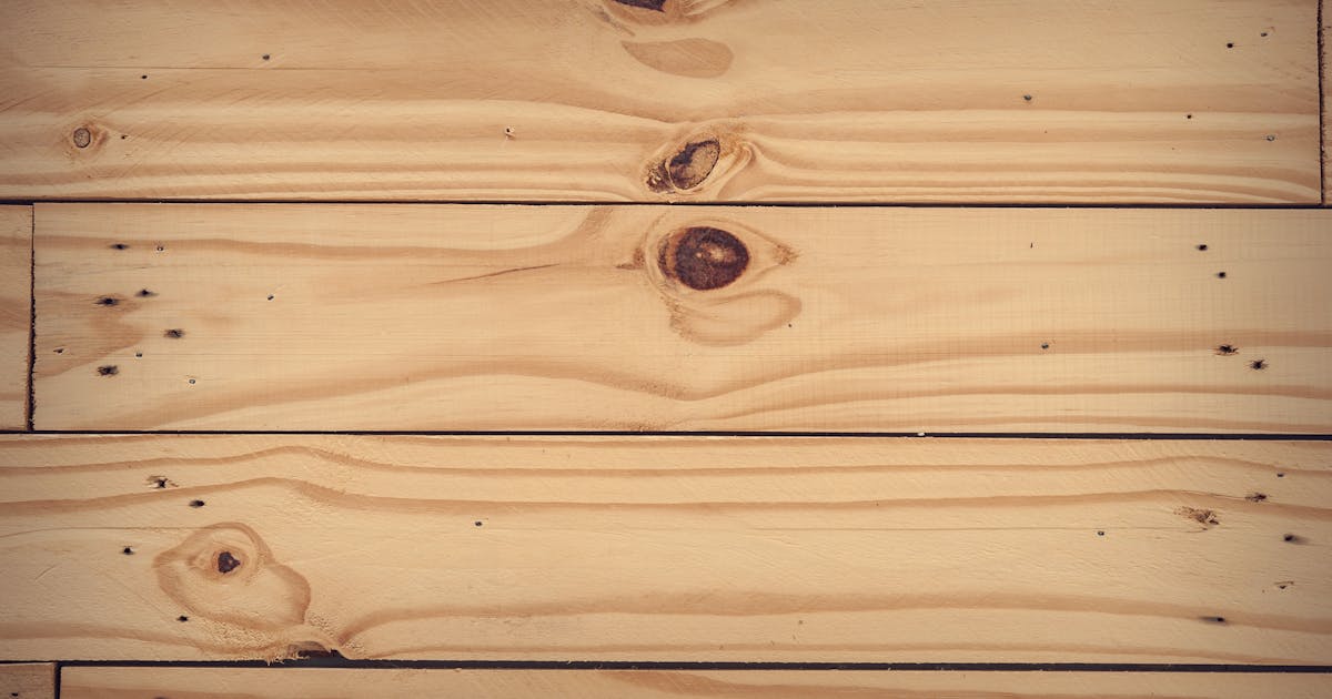 Sejarah Baru! Pertamina Eco Runfest 2025 Raih Predikat World Athletics Label, Bawa Indonesia ke Panggung Lari Dunia