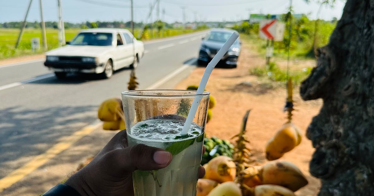 Revolusi Udara di Timur Tengah: Prabowo dan Raja Abdullah Saksikan Demo Drone Canggih Kolaborasi Indonesia-Yordania!
