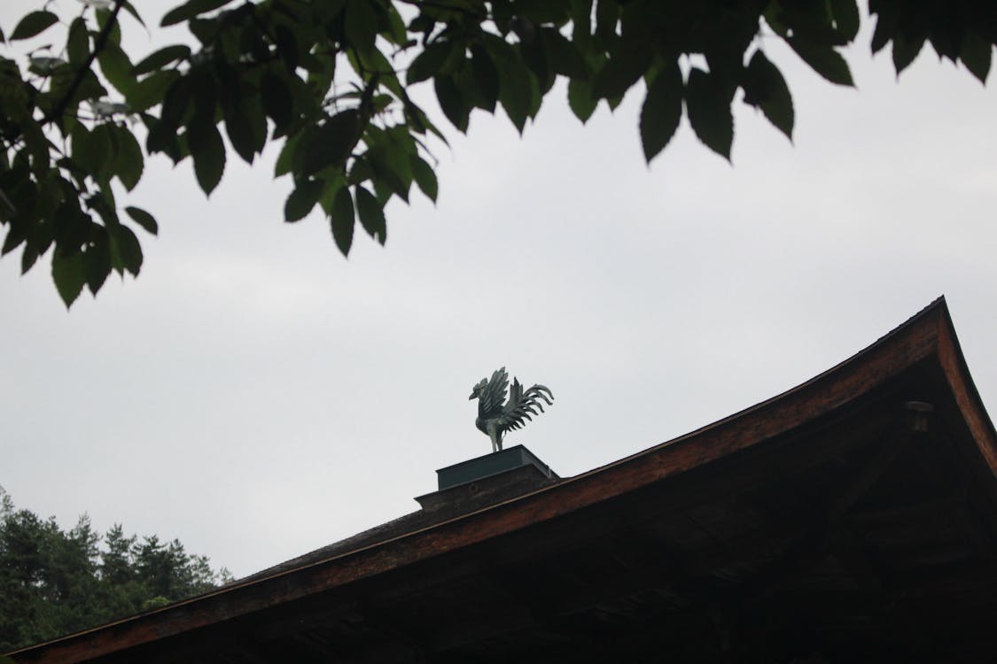 Langkah Darurat! Barcode BBM Subsidi Dihilangkan Sementara di Zona Bencana Sumatera