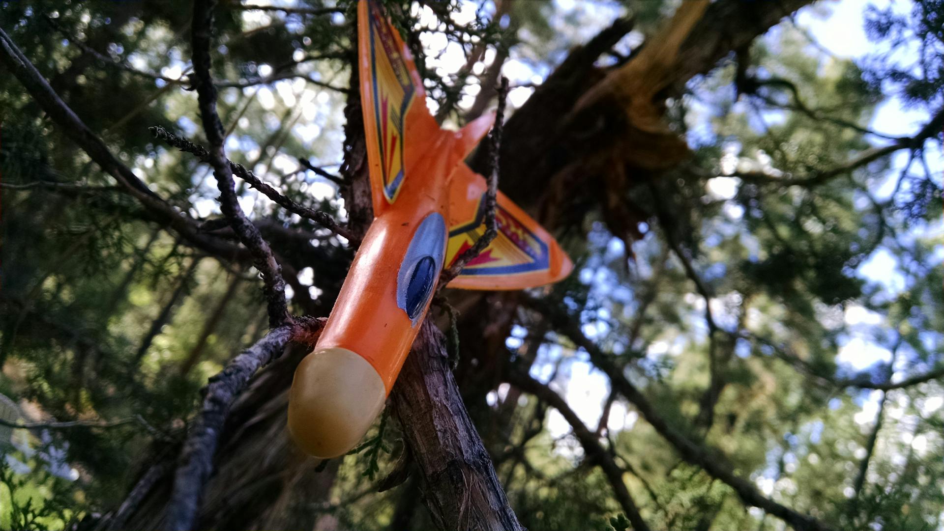 Sukses Mendunia! Pertamina Eco Runfest 2025 Cetak Sejarah dengan World Athletics Label