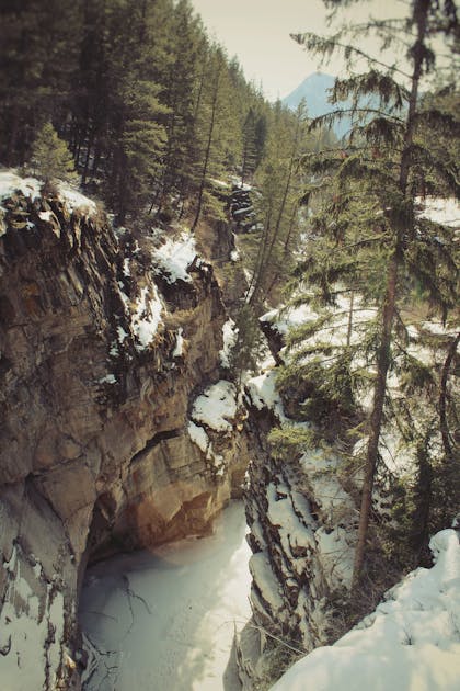 Menteri UMKM 'Sterilkan' Pasar dari Produk Impor: Sinyal Emas untuk Bisnis Lokal?