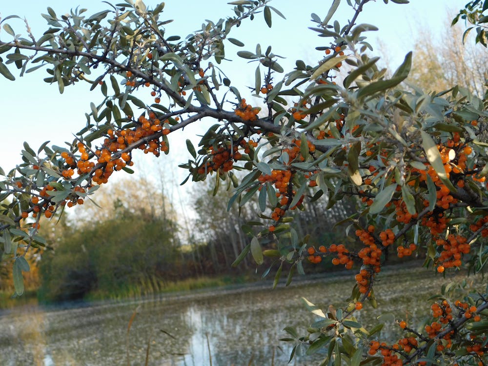 17 Tahun Tangsel: Lebih dari Sekadar Pesta, Ini Refleksi dan Tantangan yang Wajib Kamu Tahu!