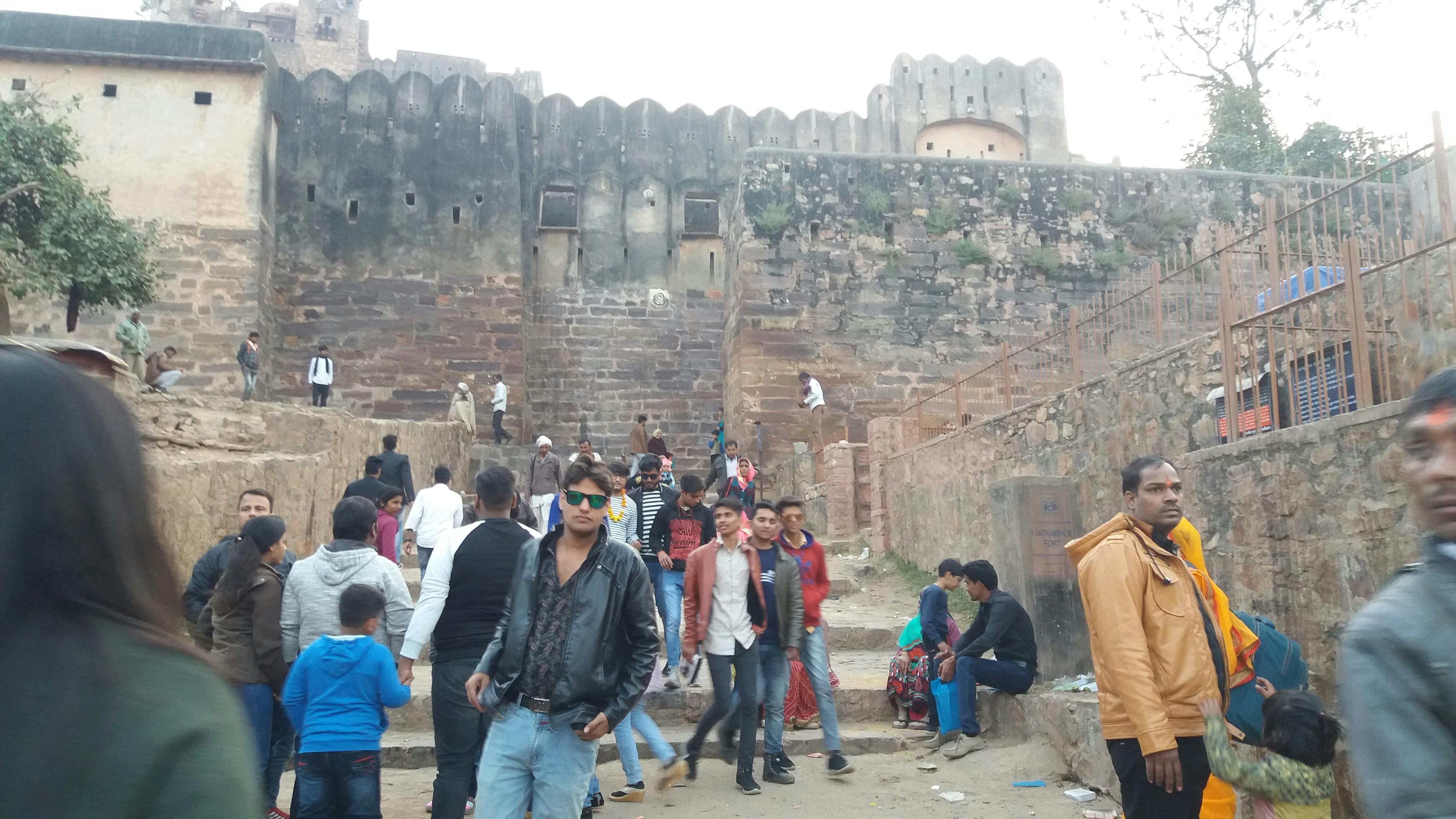 Dividen Fantastis Saudi Aramco: Kinerja Raksasa Minyak yang Mengguncang Pasar Global