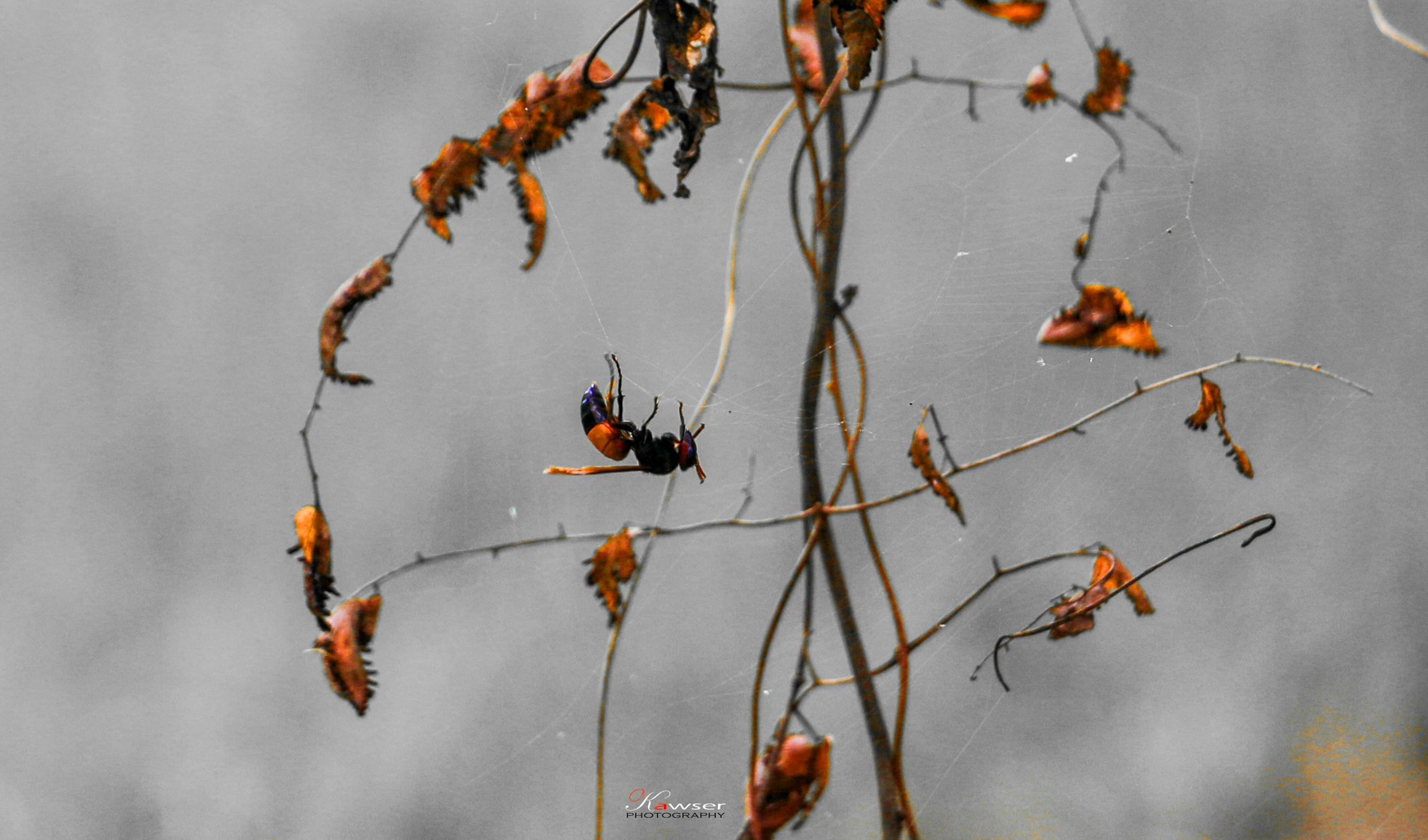 Di Balik Lancarnya Jalanan: Mengapa Pasokan BBM Pertamina untuk SPBU BP-AKR Adalah Kunci Stabilitas Kita