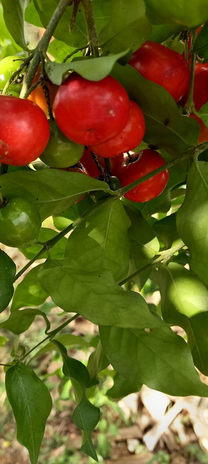 Bottomline Bawa Revolusi AI ke Manajemen Kas: Masa Depan Keuangan Korporat Telah Tiba!