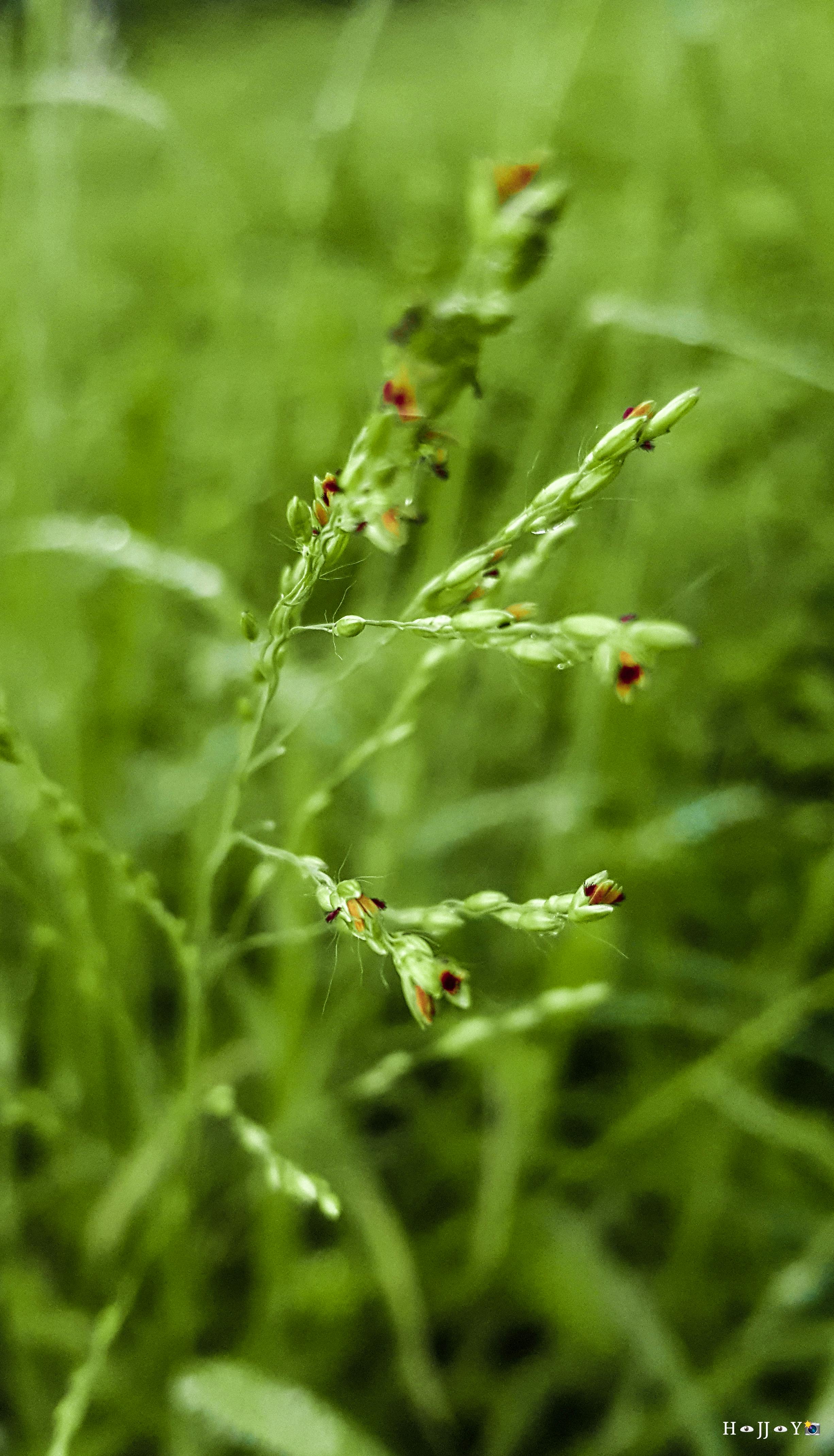 Prabowo Berang: Pembalakan Liar Ancam Ketahanan Nasional, Solusi Nyata untuk Banjir Sumatera?