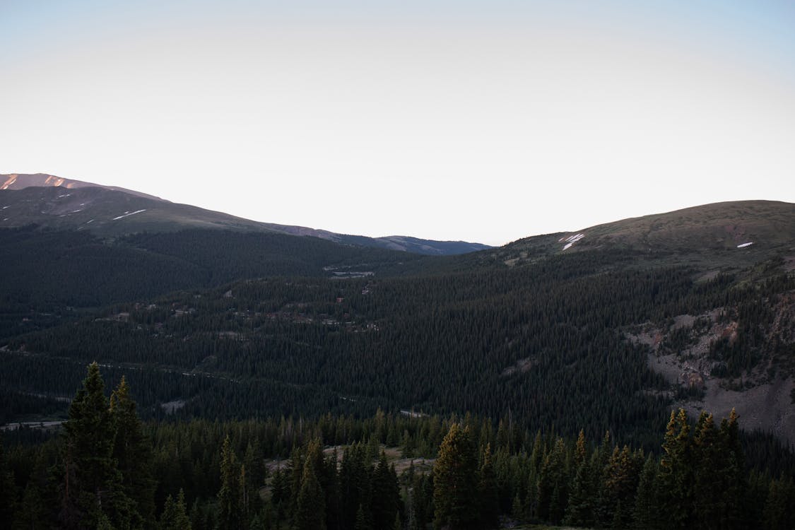 Shroud Mengguncang Arena GOTY: Ketika Suara Streamer Lebih Kuat dari Jutaan Gamer?