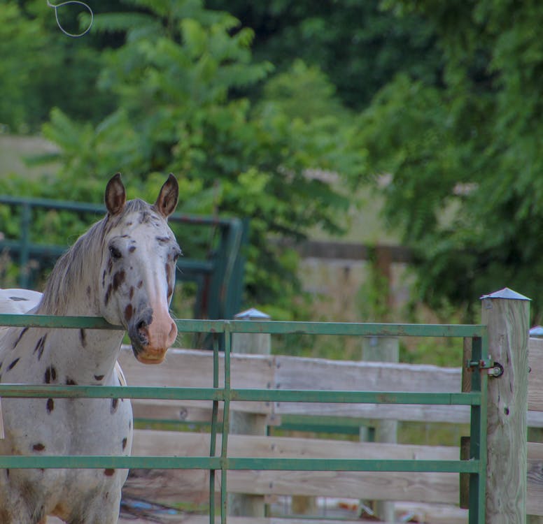 Revolusi Biru di Banda Neira: KKP Sulap Pulau Rempah Jadi Mercusuar Ekonomi Maritim Berbasis Budaya untuk Indonesia