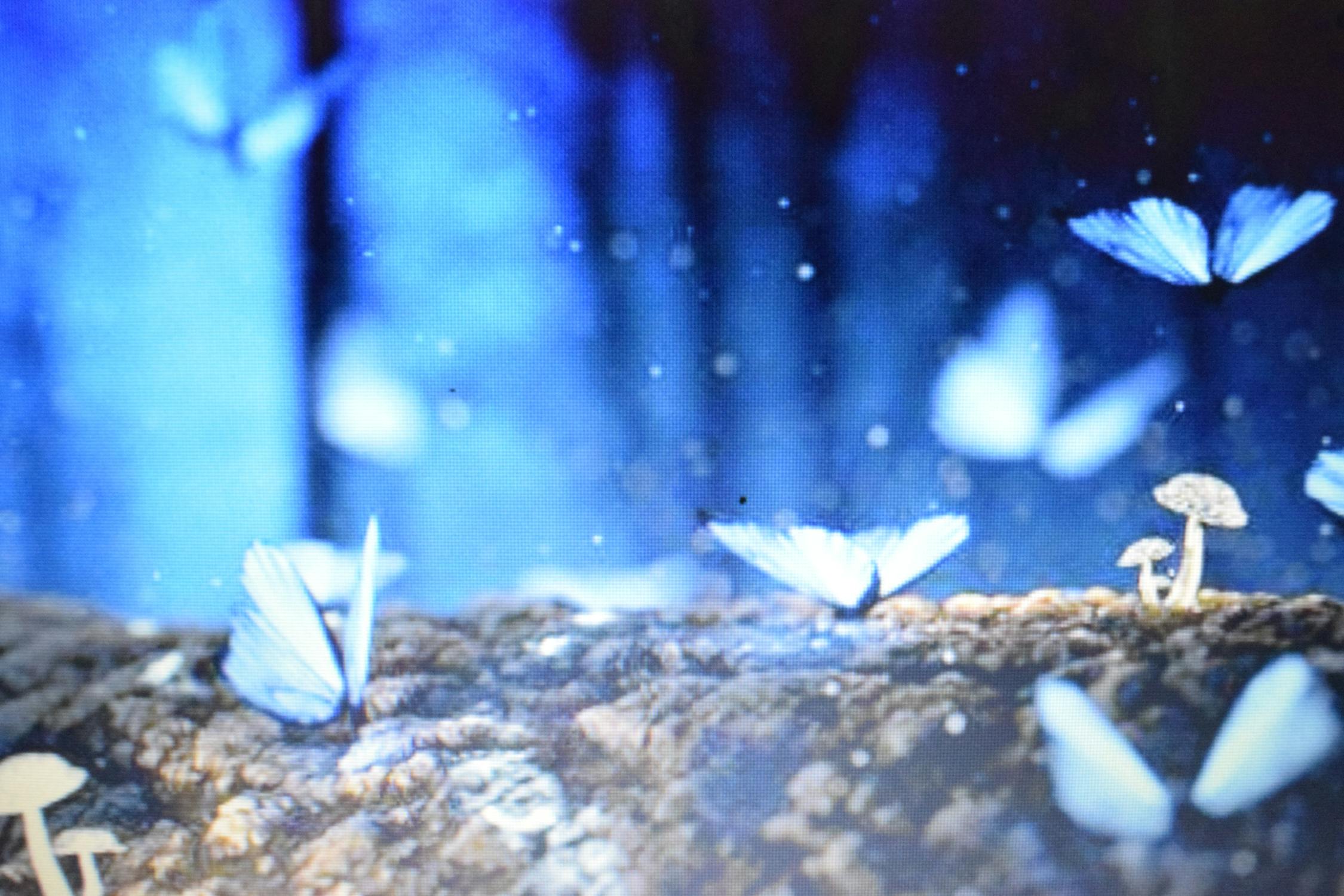 Gelombang Besar Content Marketing: Mengapa Industri Ini Diproyeksikan Melesat ke Angka Miliaran Dolar pada 2026 dan Bagaimana Anda Bisa Menjadi Bagian Darinya