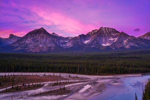 Siapa yang Menanggung Beban 'Pajak' Penduduk Sementara Alberta? Analisis Dampak Kebijakan Imigrasi