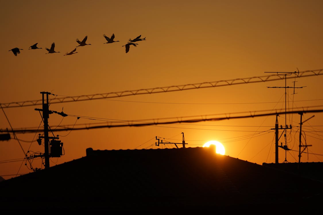 Geger! Prabowo Ungkap Modus Kartel Narkoba Pakai Kapal Selam: Ancaman Nyata di Bawah Laut Indonesia