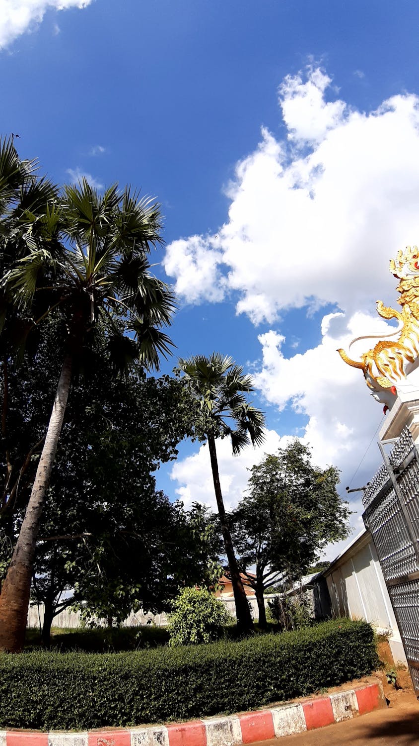 Sinyal Kuat dari Istana: Prabowo Sentil Utang Kereta Cepat, Titik Balik Proyek Ambisius?