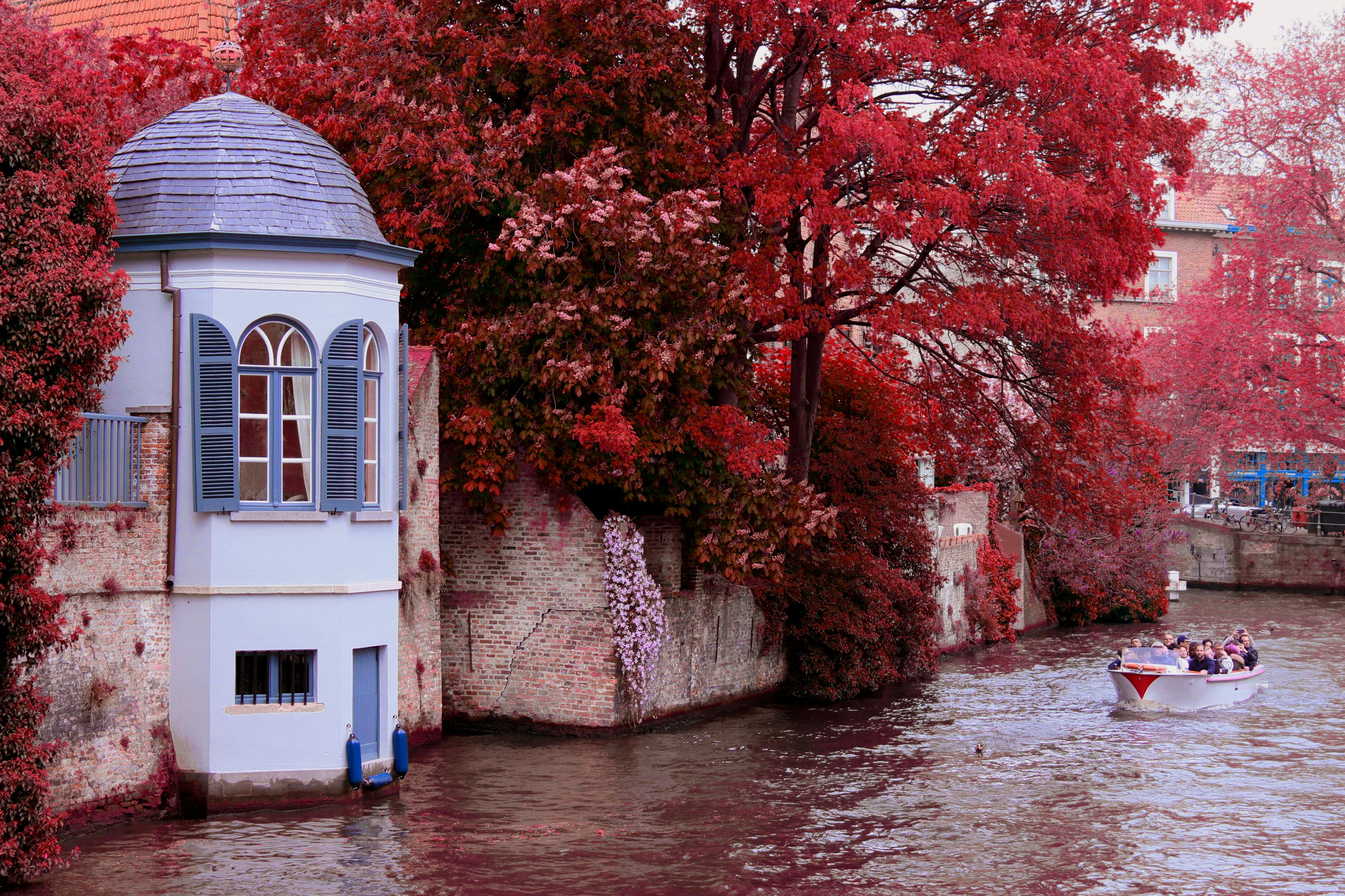 Pemimpin Turun Gunung: Makna Kunjungan Presiden Prabowo dan Mensos Gus Ipul ke Lokasi Bencana Aceh Tenggara