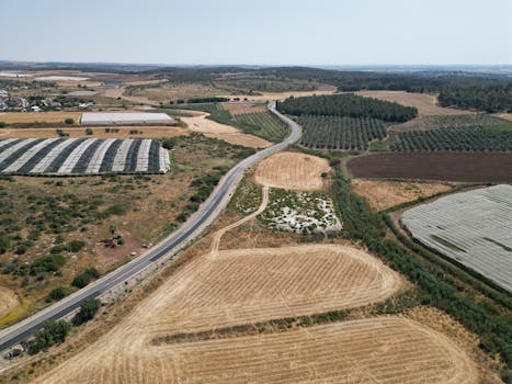 Krisis Susu Israel: Rak Kosong, Harga Meroket! Mengapa Petani Mogok dan Bagaimana Dampaknya?