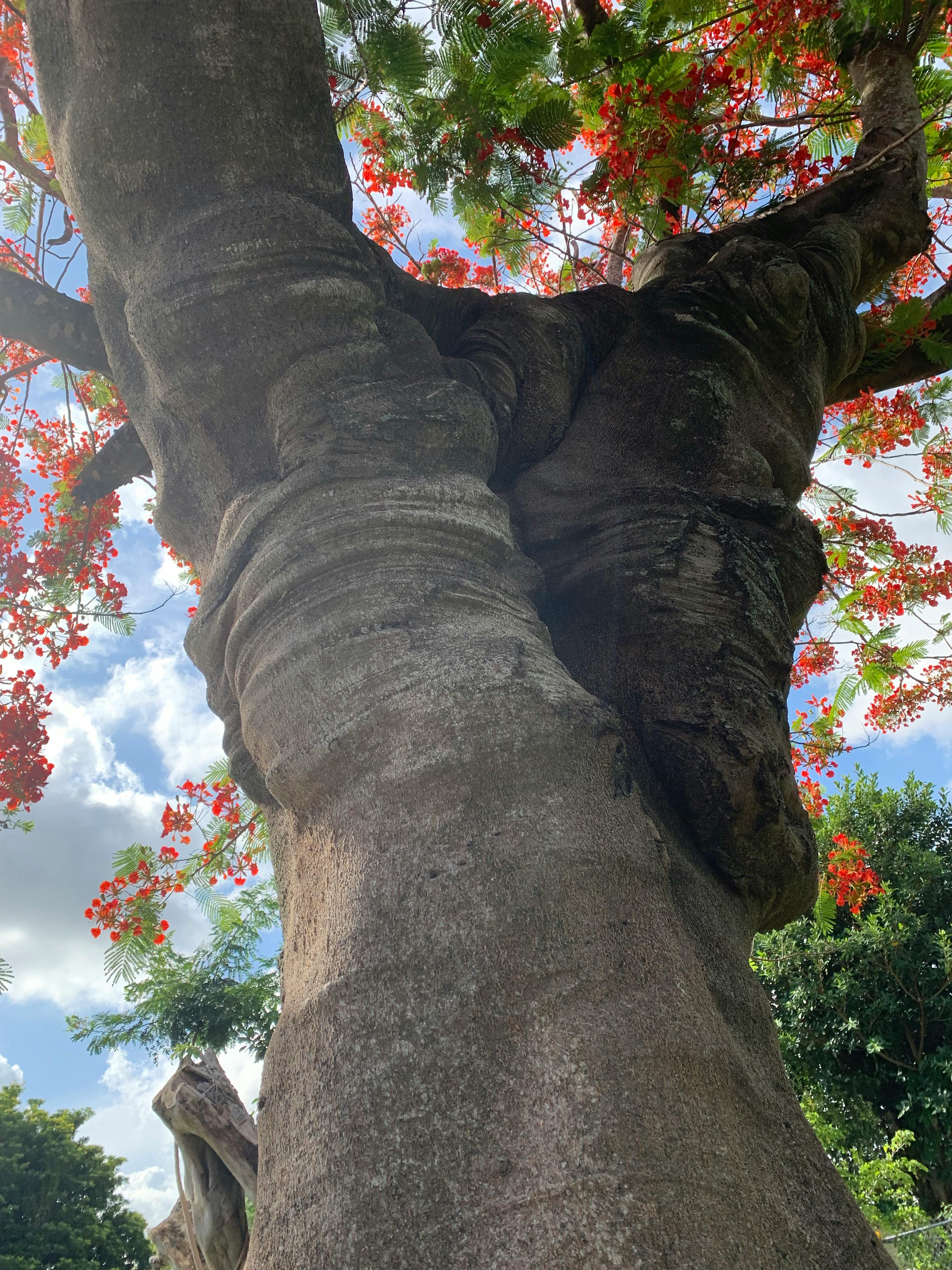 IKN Memanggil: Generasi Muda ASN Jadi Prioritas, Peluang Emas atau Tantangan Besar?