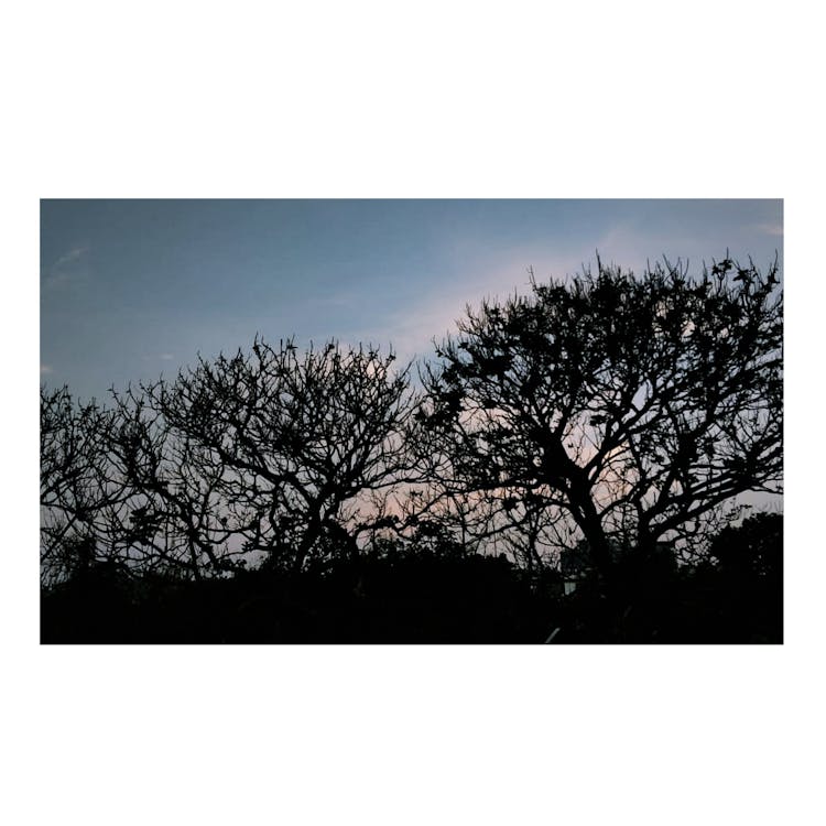 Jember Terbang Tinggi! Strategi Brilian Gus Fawait Membangkitkan Ekonomi Lokal Lewat Penerbangan Permanen Jakarta